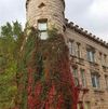 209 N 16th St photo